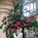 🌿 [서울근교 나들이] 수원 일월수목원 후기 (입장료, 주차, 사진스팟 총정리!)