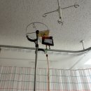 유방5통 이미지