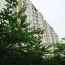 유현마을 신동아상가 이미지