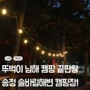 솔바람캠핑장 | 엣헴! 뚜벅이 캠린이의 남해 정복기 전구 감성에 취해 잠 못 잔 송정솔바람 캠핑장