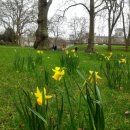 홀스파크민박 이미지