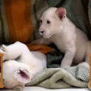 루카농장 이미지