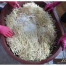 상운농장 이미지