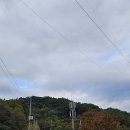 부포로(예안면) Daum카페