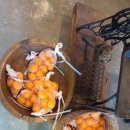 동산흑염소농장 이미지