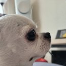 더블유동물병원 이미지