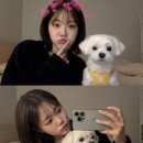 네일드봉쥬르