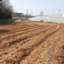 만호 사거리 이미지