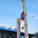 등촌샤브샤브칼국수 국회의사당점 이미지