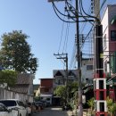 다봄약국 | 치앙마이(파워J들과 함께한,,)