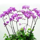 남구-112 이미지