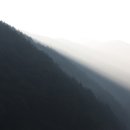 빛고운