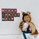 마스터 홍 태권도 이미지