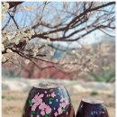 통도사(부산) 이미지