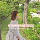 18개월아기랑세부여행 코스:1~2일차 샹그릴라리조트/시터추천/ 골드문스파/ 샹스몰환전 /엉클잭하우스