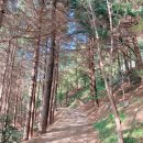 괴정2동-7 이미지