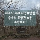 숲속의 하루 | 제주도 교래 자연휴양림 숲속의 휴양관 A동 숙박후기 - 제주도여행기