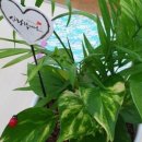 도시농업관리사반 이미지