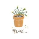 센스컵