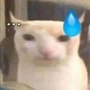 운동상점(Exercise Store) | [고래상점 / Whale Store xoxo 9화] - 밀크러브 MilkLove (+ GMMTV 아웃팅)