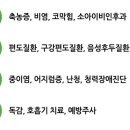로하스에버