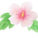 옥천아는사람협동조합 | 농식품부장관,농어촌기본소득으로현장변화가 시작됨을 체감/국립대전현충원신청사1일개청/지역주도형AI...