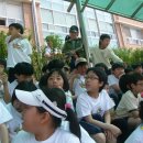 대정초등학교 이미지