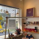 엘리펀트플라잉 이미지