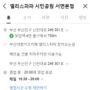 앨리스파파 이미지