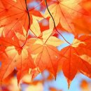 마음미소정신건강의학과의원 이미지