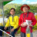 ★ 춘양, 도곡축제장(10.20~10.29) 어제끝 그러나 국화꽃은 이번주말 滿開(만개). 이미지