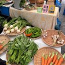 구복농장 | 여름 일기) 마르쉐 농부시장, 여름 제철 농산물 먹기, 인터컨티넨탈 뷔페, 비건페어