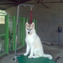 똥꼬발랄 이미지