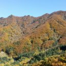 강산