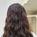살롱드엘(SALON DE L)