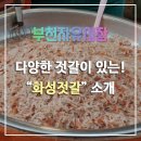 화성젓갈