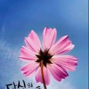 행복한하루 이미지