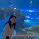 민영목장 이미지