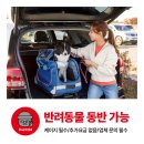 케이지렌터카 이미지