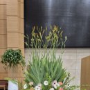 광명교회 이미지