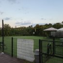 눈이부시개 이미지