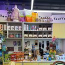 도그온리 이미지