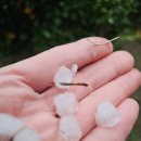 억수농장 이미지