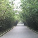 설도공원 이미지