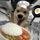멍멍멍 | 강아지는야옹야옹 고양이는 멍멍멍 송아지는삐약삐약 병아리는음메 돼지는어흥어흥 호랑이는꿀꿀꿀 오리...