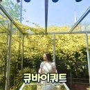 건들바위네거리 | 대구 목향장미 명소 큐바이쿼트｜지금 꼭 가야 하는 봄 핫플 아이랑 꽃놀이 후기 주차 정보