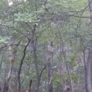 약수터주유소 이미지