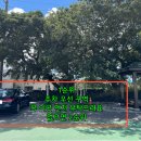 제주도조용한게스트하우스산방산 이미지