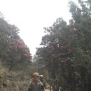 새불란서약국 | 네팔 - 에베레스트 베이스 캠프 (EBC) 5,364 m 를 다녀와서 - 5