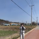 대구우보초등학교 이미지